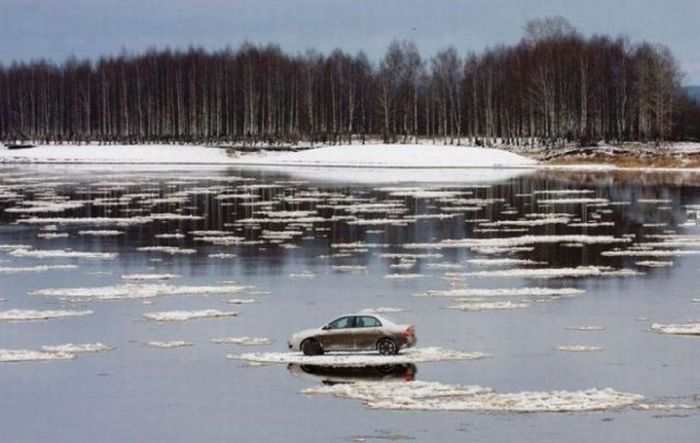 Фото приколы дня