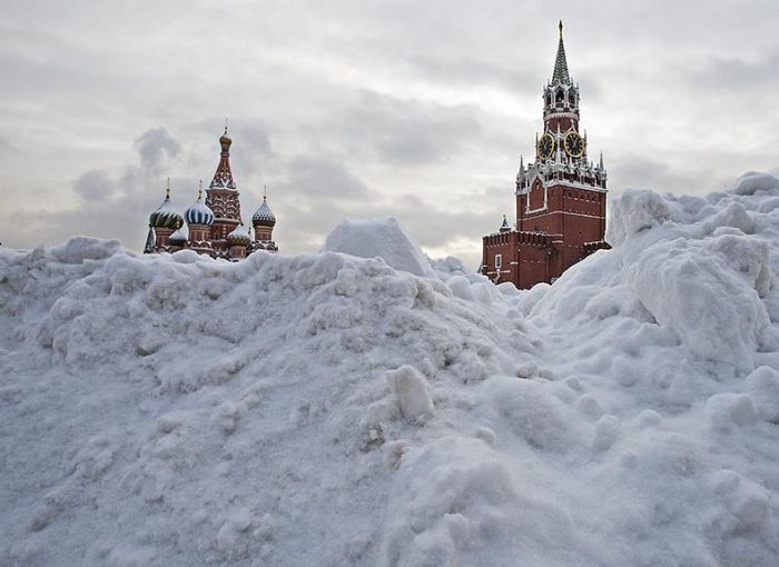 Фото приколы дня