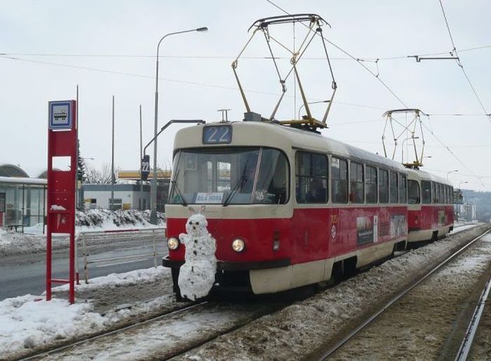 Фото приколы дня