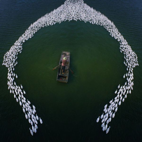 Фото приколы дня