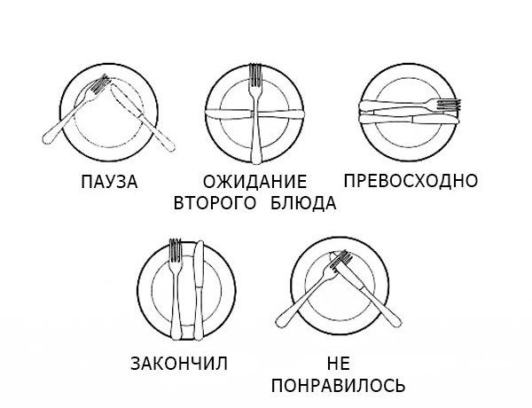 Фото приколы дня