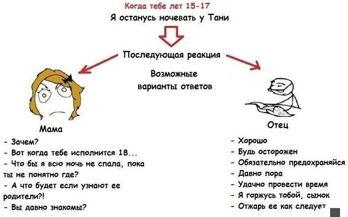 Фото приколы дня