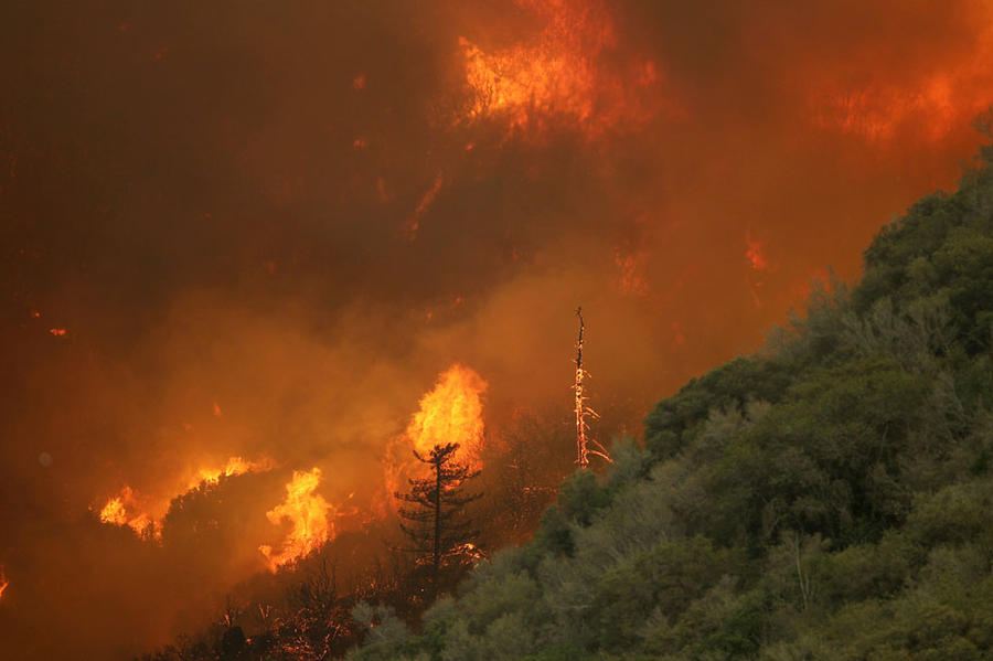 Лесные пожары в Лос-Анджелесе