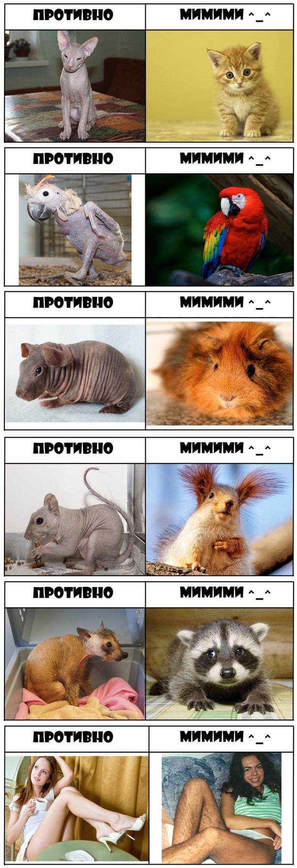 Противно vs Мимими