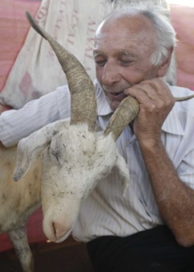 Бразилец хочет жениться на козе в Церкви дьявола
