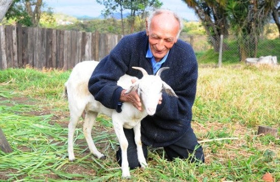 Бразилец хочет жениться на козе в Церкви дьявола