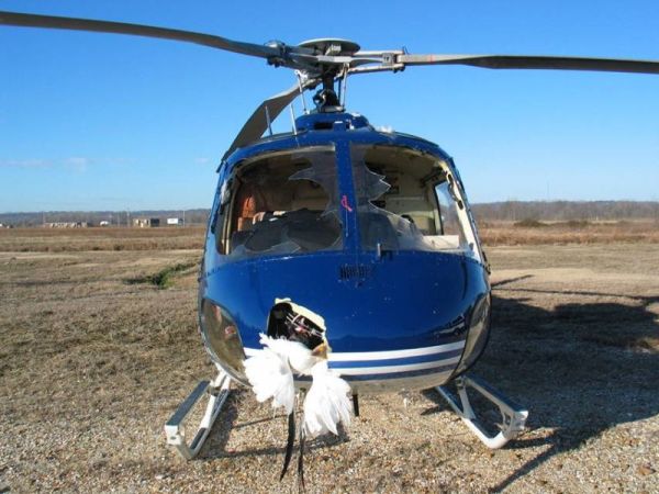 Встреча медицинского вертолета со стаей птичек