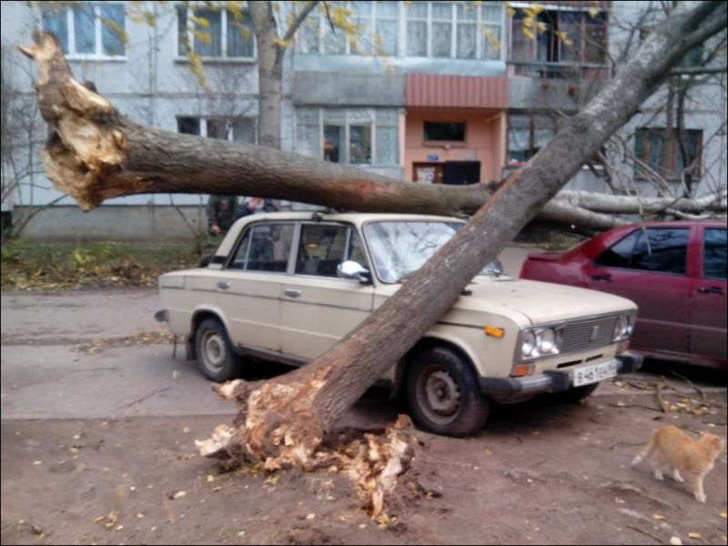 Ураган-убийца "Святой Иуда" бушует в Пскове