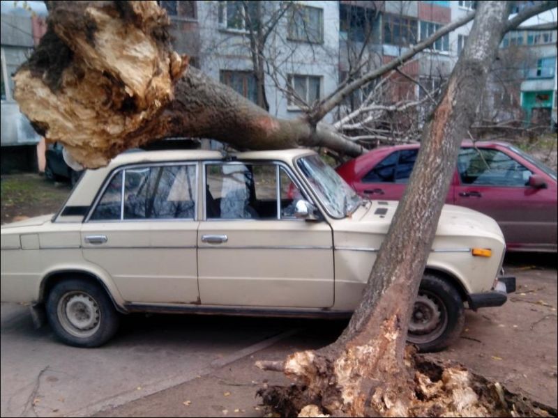 Ураган-убийца "Святой Иуда" бушует в Пскове