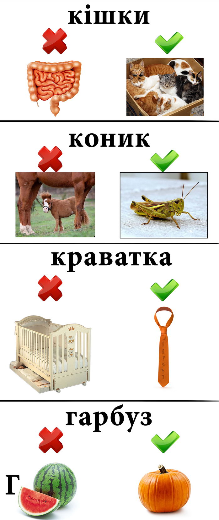 Украинский язык в картинках