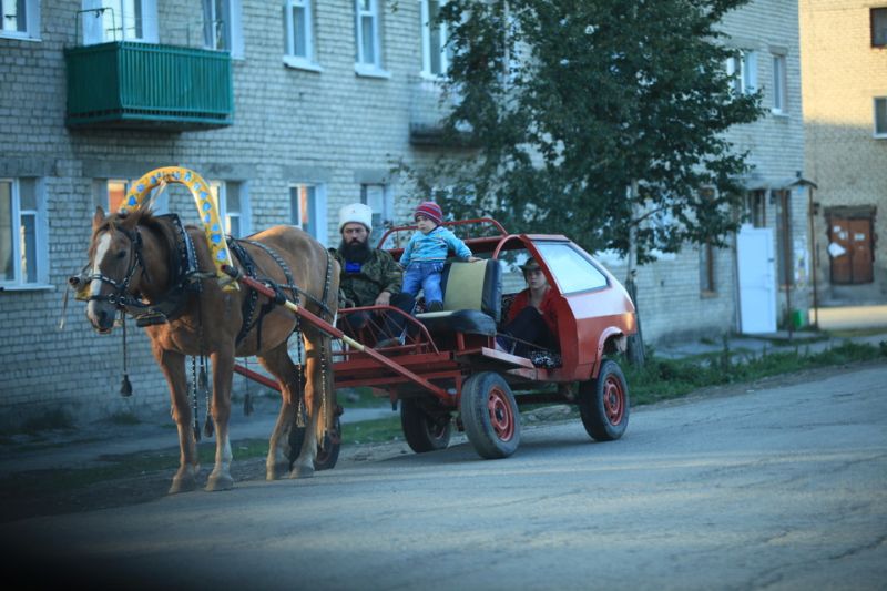 Фото приколы дня