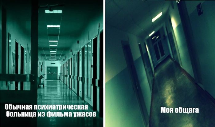 Фото приколы дня