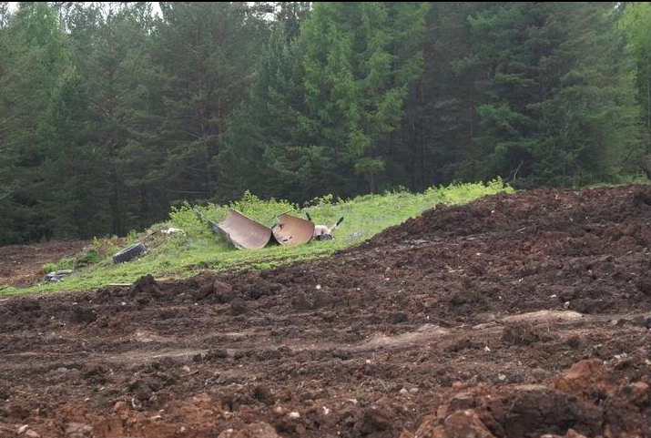 Хорошо в деревне летом