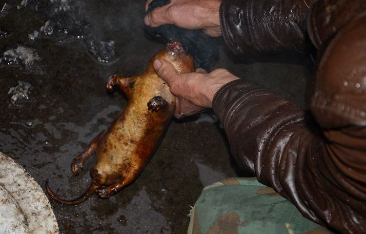 Рецепт приготовления крысы по-китайски