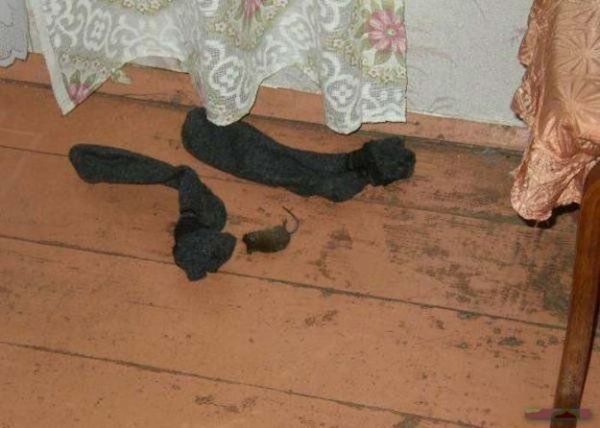 Как жена отучила мужа разбрасывать грязные носки