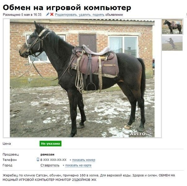 Наша Раша