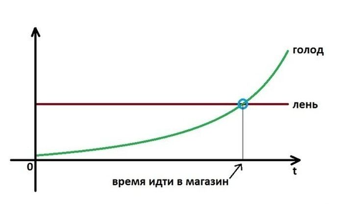 Фото приколы дня