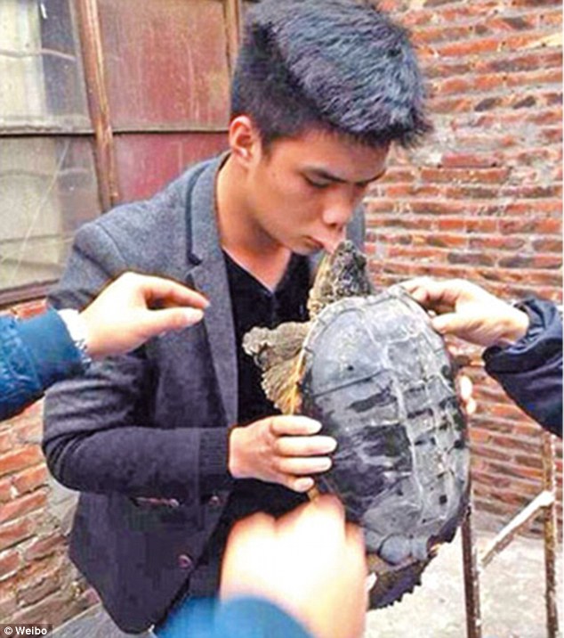 Никогда не целуйте черепах!