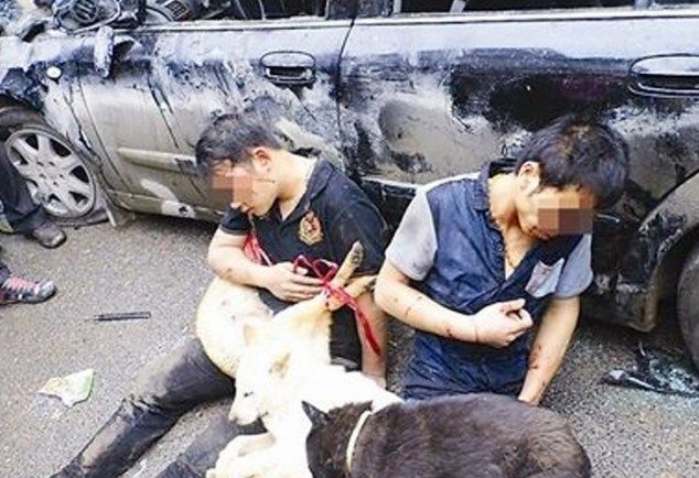 Как в Китае расправляются с похитителями собак