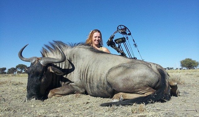 Профессиональная лучница, стреляющая покруче эльфиек