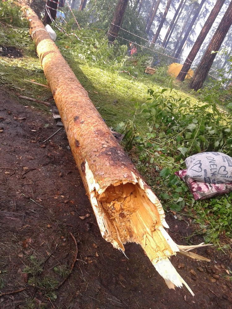 Ураган унёс три жизни на Ильменском фестивале