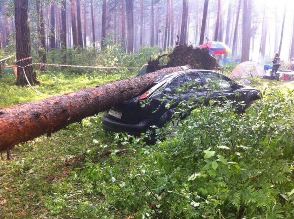 Ураган унёс три жизни на Ильменском фестивале