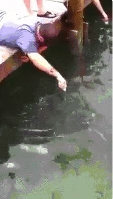 Ловись рыбка большая и маленькая