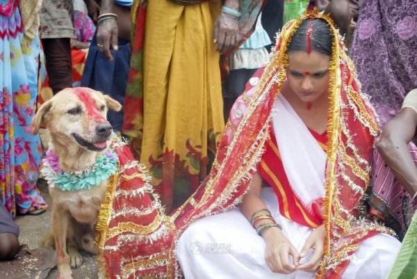 Молодую индианку выдали замуж за пса, чтобы снять наложенные на нее злые чары