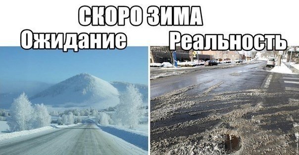 Фото приколы дня