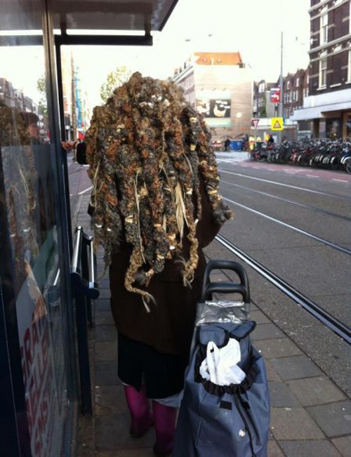 Медуза Горгона бродит по улицам Амстердама