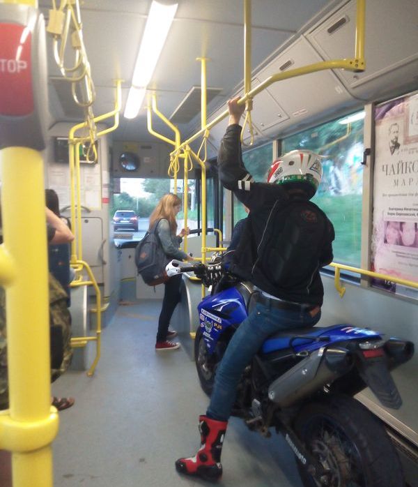 Необычный пассажир общественного транспорта