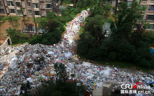 В Китае есть определенные проблемы с утилизацией бытового мусора
