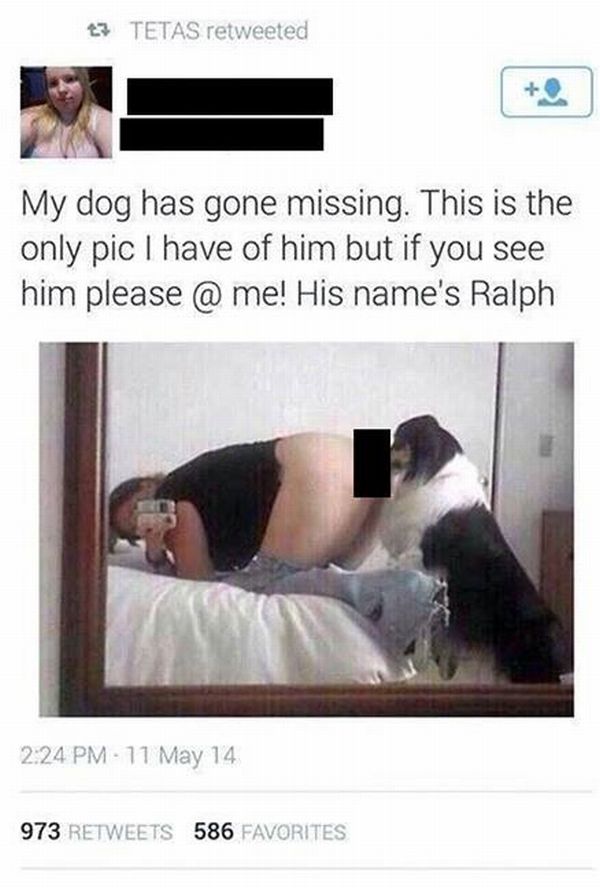Пропала собака