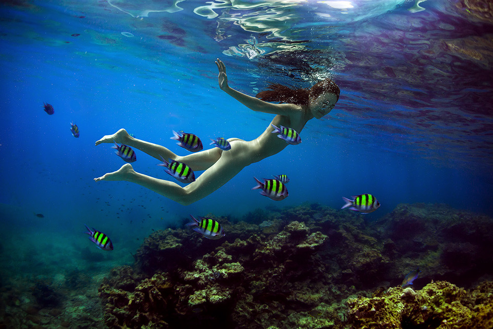 Красоты подводного мира