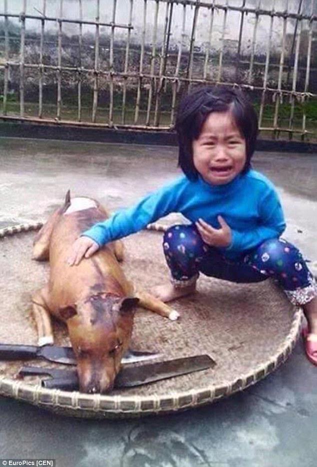 Пятилетняя вьетнамская девочка нашла свою пропавшую собачку