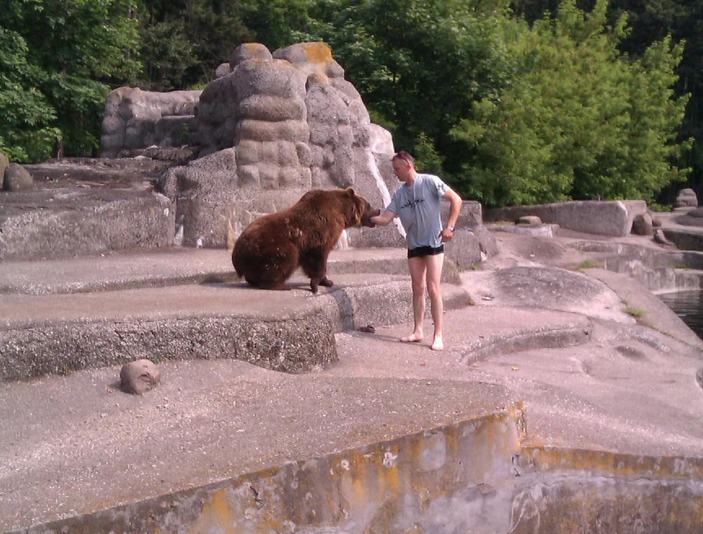 В варшавском зоопарке пьяный мужчина прыгнул в вольер к медведю