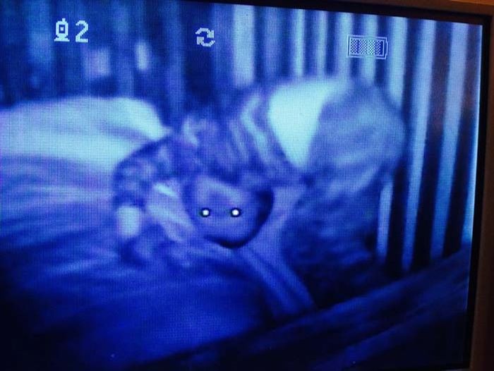 Страшные кадры видеокамер из детских комнат