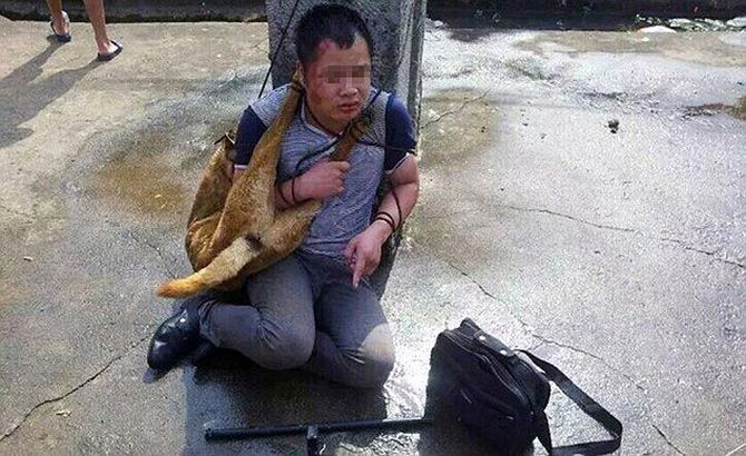 Самосуд над убийцами собак в Китае