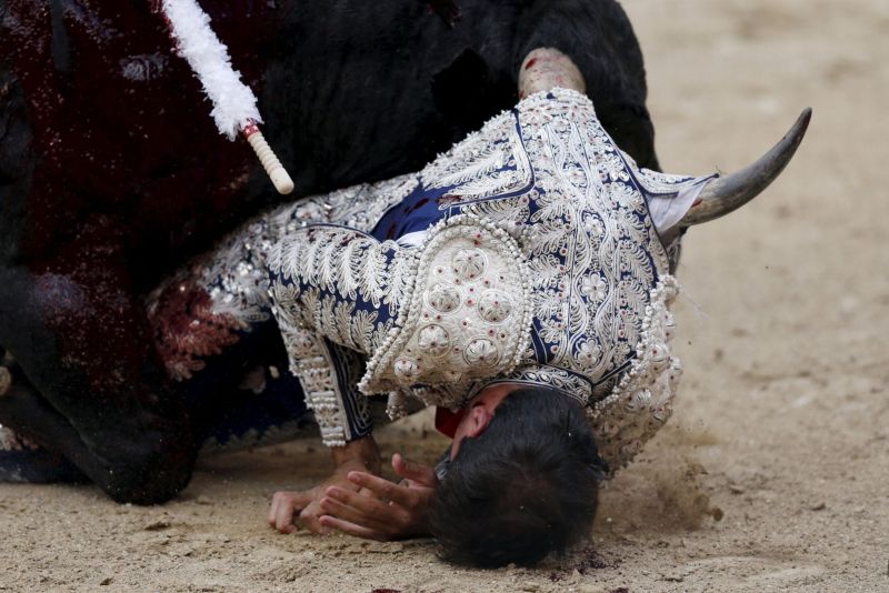 Оторванное яичко матадора, фонтан из бычьей крови и другие яркие события одного дня корриды в Мадриде