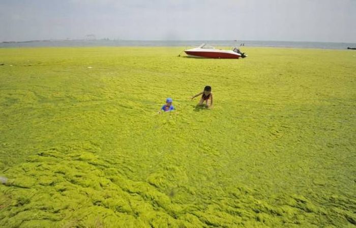 Фото приколы дня