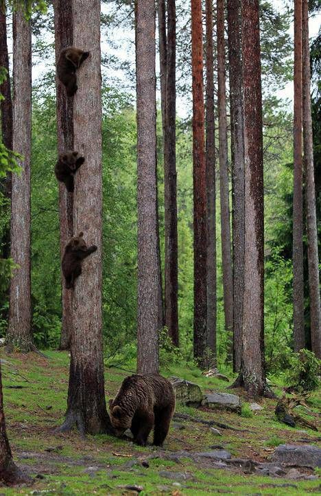 Фото приколы дня