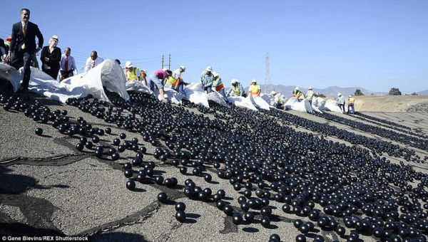 96 миллионов черных шаров