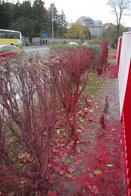Метод экспресс-покраски ограды от коммунальщиков Словакии