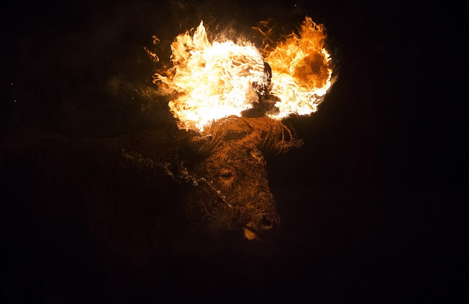 Toро де Джубило – огненный праздник с горящими быками