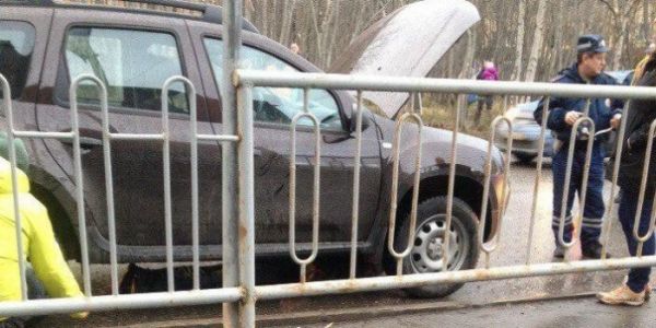 В Мурманской области водитель километр тащил труп под днищем автомобиля