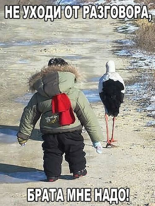 Фото приколы дня