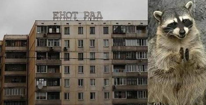 Фото приколы дня