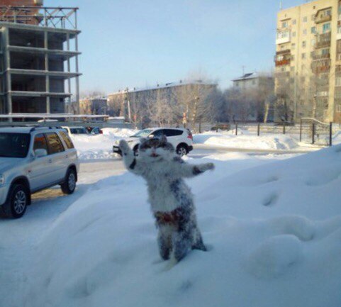 В Омске из мертвого кота сделали памятник зиме