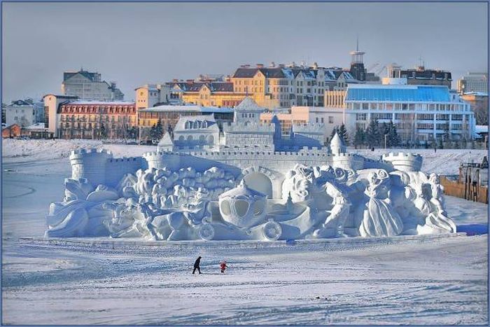 Фото приколы дня