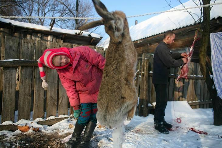 Вестник социальных сетей